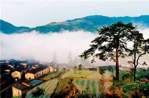 19岁网红脑溢血去世，为何仅仅19岁就会突发脑溢血？游戏画面
